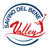 Logo for Savino Del Bene SCANDICCI